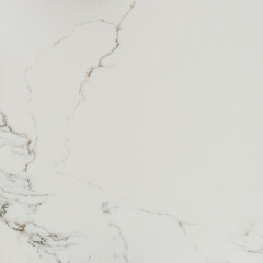 Керамогранит Lavelly Calacatta Palace белый матовый 600х600х8,2 мм (4 шт.=1,44 кв.м) - фото 6