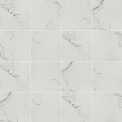 Керамогранит Lavelly Calacatta Palace белый матовый 600х600х8,2 мм (4 шт.=1,44 кв.м) - фото 12