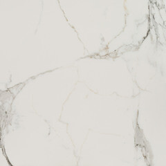 Керамогранит Lavelly Calacatta Palace белый карвинг 600х600х8,2 мм (4 шт.=1,44 кв.м) - фото 1