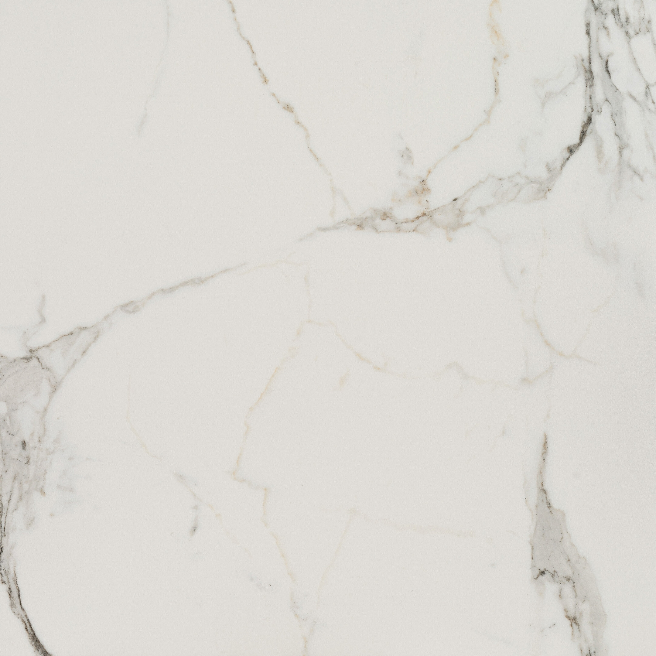 Изображение товара Керамогранит Lavelly Calacatta Palace белый карвинг 600х600х8,2 мм (4 шт.=1,44 кв.м)