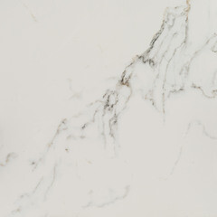 Керамогранит Lavelly Calacatta Palace белый карвинг 600х600х8,2 мм (4 шт.=1,44 кв.м) - фото 15
