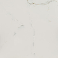 Керамогранит Lavelly Calacatta Palace белый карвинг 600х600х8,2 мм (4 шт.=1,44 кв.м) - фото 5
