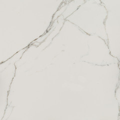 Керамогранит Lavelly Calacatta Palace белый карвинг 600х600х8,2 мм (4 шт.=1,44 кв.м) - фото 13