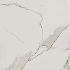 Керамогранит Lavelly Calacatta Palace белый карвинг 600х600х8,2 мм (4 шт.=1,44 кв.м) - фото 11