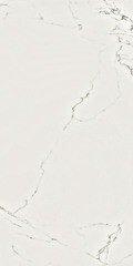 Изображение товара Керамогранит Lavelly Calacatta Palace белый матовый 1200х600х8,5 мм (2 шт.=1,44 кв.м)