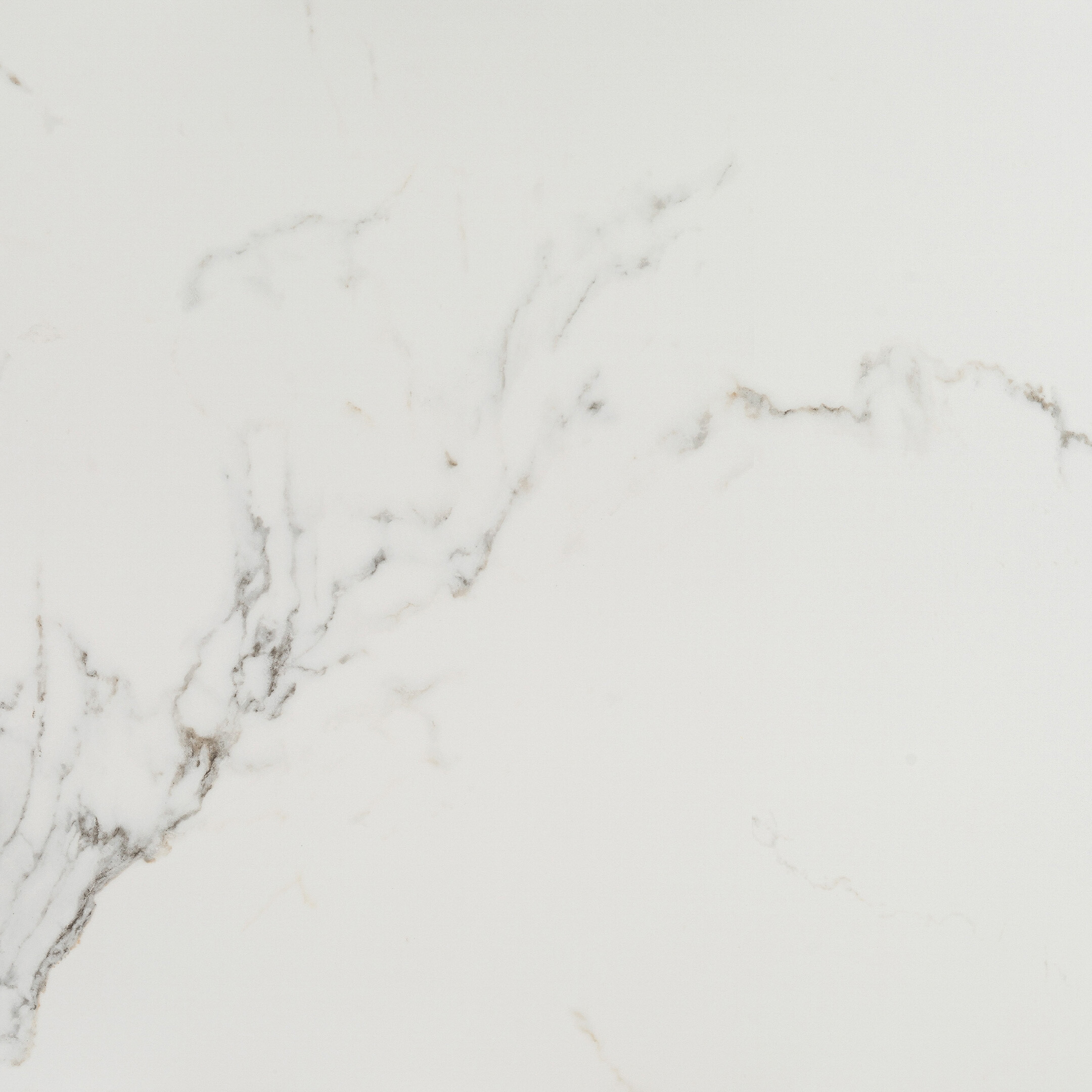 Изображение товара Керамогранит Lavelly Calacatta Palace белый карвинг 800х800 мм для интерьера и фасадов