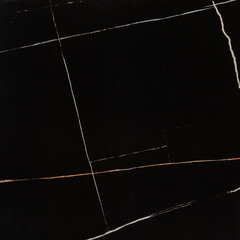 Керамогранит Lavelly Marble Accent черный полированный 600х600х8,2 мм (4 шт.=1,44 кв.м) - фото 9