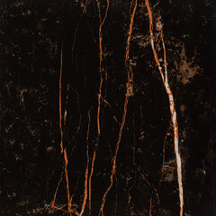 Керамогранит Lavelly Marble Nero черный полированный 600х600х8,2 мм (4 шт.=1,44 кв.м) - фото 13