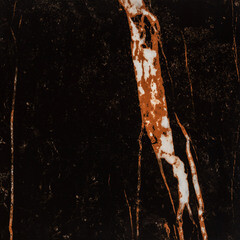 Керамогранит Lavelly Marble Nero черный полированный 600х600х8,2 мм (4 шт.=1,44 кв.м) - фото 5