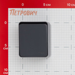 Выключатель Systeme Electric AtlasDesign Profi54 одноклавишный накладной антрацит (ATN544015) - фото 3