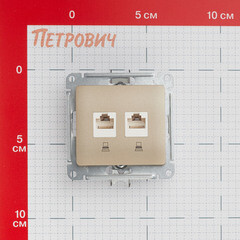 Розетка компьютерная Systeme Electric Glossa встраиваемая титан 2хRJ45 (GSL000485KK) - фото 2