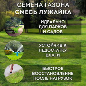 Семена газонной травы Лужайка Зеленый Уголок 20 кг — купить в Санкт ...