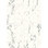 Carrara vained white