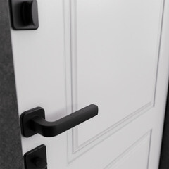 Дверь входная Torex Крафт Дуал левая кт белый - черный шелк 950х2050 мм - фото 13