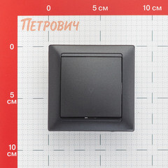 Выключатель Svet Стиль одноклавишный встраиваемый графит (EV 0365-7111) - фото 2