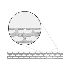 Шина монтажная для труб Русконнект RPM4 50х3х2000 мм (448507) - фото 3