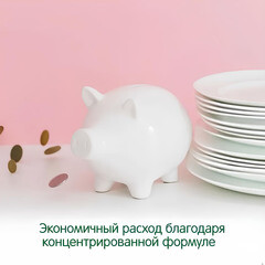 Средство Grass Gloss Concentrate для удаления налета и ржавчины концентрат 5 л - фото 5