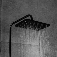 Душевая система Frap с верхним душем с лейкой с изливом черная (F2462) - фото 5