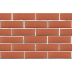 Кирпич облицовочный пустотелый красный М175 250х120х65 мм 1NF ЛСР (РКЗ) - фото 5