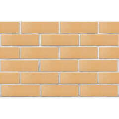 Кирпич облицовочный пустотелый пшеничный М175 250х120х65 мм 1NF ЛСР (ППКЗ) - фото 5