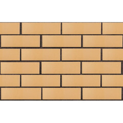 Кирпич облицовочный пустотелый пшеничный М175 250х120х65 мм 1NF ЛСР (ППКЗ) - фото 4