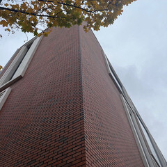 Кирпич облицовочный пустотелый красный флешинг Ноттингем М300 250х85х65 мм 0,71NF ЛСР (НКЗ) - фото 8