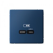Розетка USB Systeme Electric ArtGallery встраиваемая аквамарин Type-C (SE GAL001127)