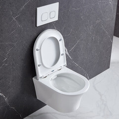 Унитаз подвесной Corsa Deco FX Rimless безободковый с сиденьем дюропласт микролифт (WHFX490SR) - фото 19