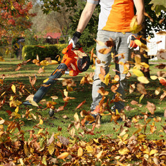 Воздуходувка-пылесос бензиновая ручная Daewoo 880 Вт (DABL 270) - фото 4