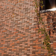 Кирпич облицовочный пустотелый красный флешинг М150/175 250х120х65 мм 1NF ЛСР (РКЗ) - фото 4