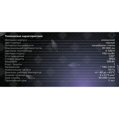 Прожектор светодиодный Ritter Profi 6500К 300 Вт IP65 черный - фото 3