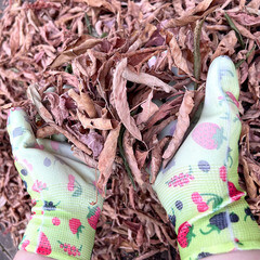 Перчатки полиэстеровые с латексным обливом Garden Show 466717 L - фото 4