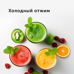 Соковыжималка шнековая Red Solution RJ-930S 750 Вт 0,3 л - фото 16