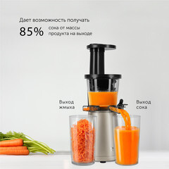 Соковыжималка шнековая Red Solution RJ-930S 750 Вт 0,3 л - фото 12