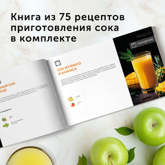 Соковыжималка шнековая Red Solution RJ-930S 750 Вт 0,3 л - фото 3