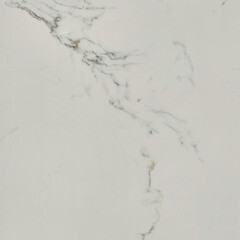 Изображение товара Керамогранит Lavelly Calacatta Palace белый полированный 800х800х8,5 мм (3 шт.=1,92 кв.м)