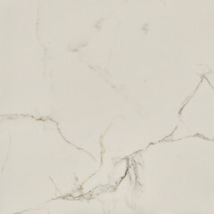 Керамогранит Lavelly Calacatta Palace белый матовый 800х800х8,5 мм (3 шт.=1,92 кв.м) - фото 8