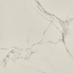 Керамогранит Lavelly Calacatta Palace белый матовый 800х800х8,5 мм (3 шт.=1,92 кв.м) - фото 7