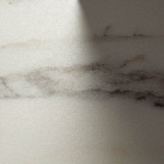 Керамогранит Lavelly Calacatta Palace белый матовый 800х800х8,5 мм (3 шт.=1,92 кв.м) - фото 3