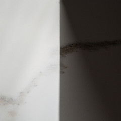 Керамогранит Lavelly Calacatta Palace белый полированный 1600х800х8,8 мм (2 шт.=2,56 кв.м) - фото 3