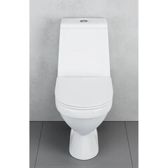 Унитаз-компакт Damixa Origin Evo 2 с горизонтальным выпуском с сиденьем дюропласт микролифт белый (788607SC) - фото 3