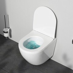 Унитаз подвесной AM.PM Like безободковый с сиденьем дюропласт микролифт смыв торнадо (C801900SC) - фото 9