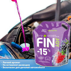 Стеклоомыватель Fin Joy Fruity зимний -15 °С 3 л - фото 2