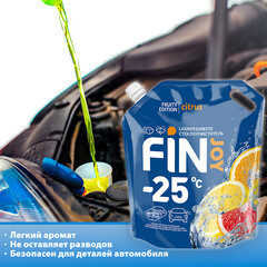 Стеклоомыватель Fin Joy Fruity зимний -25 °С 3 л - фото 2