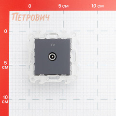 Розетка телевизионная Simon 24 Harmonie встраиваемая графит TV (2410475-038) - фото 2