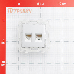 Розетка компьютерная Simon 24 Harmonie встраиваемая алюминий 2хRJ45 (2450593-033) - фото 2