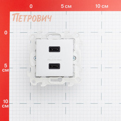 Розетка USB Simon 24 Harmonie встраиваемая алюминий 2хUSB-А (2411096-033) - фото 2