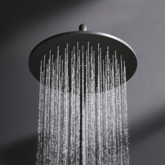 Душевая система AM.PM Like с верхним душем с лейкой с изливом черная (F0780522) - фото 4