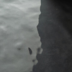 Плитка облицовочная Kerama Marazzi Адриатика голубая 200x200x6,9 мм (26 шт.=1,04 кв.м) - фото 8