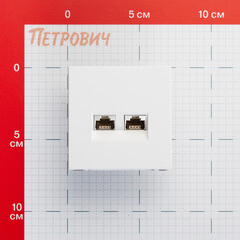 Розетка компьютерная Systeme Electric ArtGallery встраиваемая белая 2хRJ45 (GAL000188) - фото 2